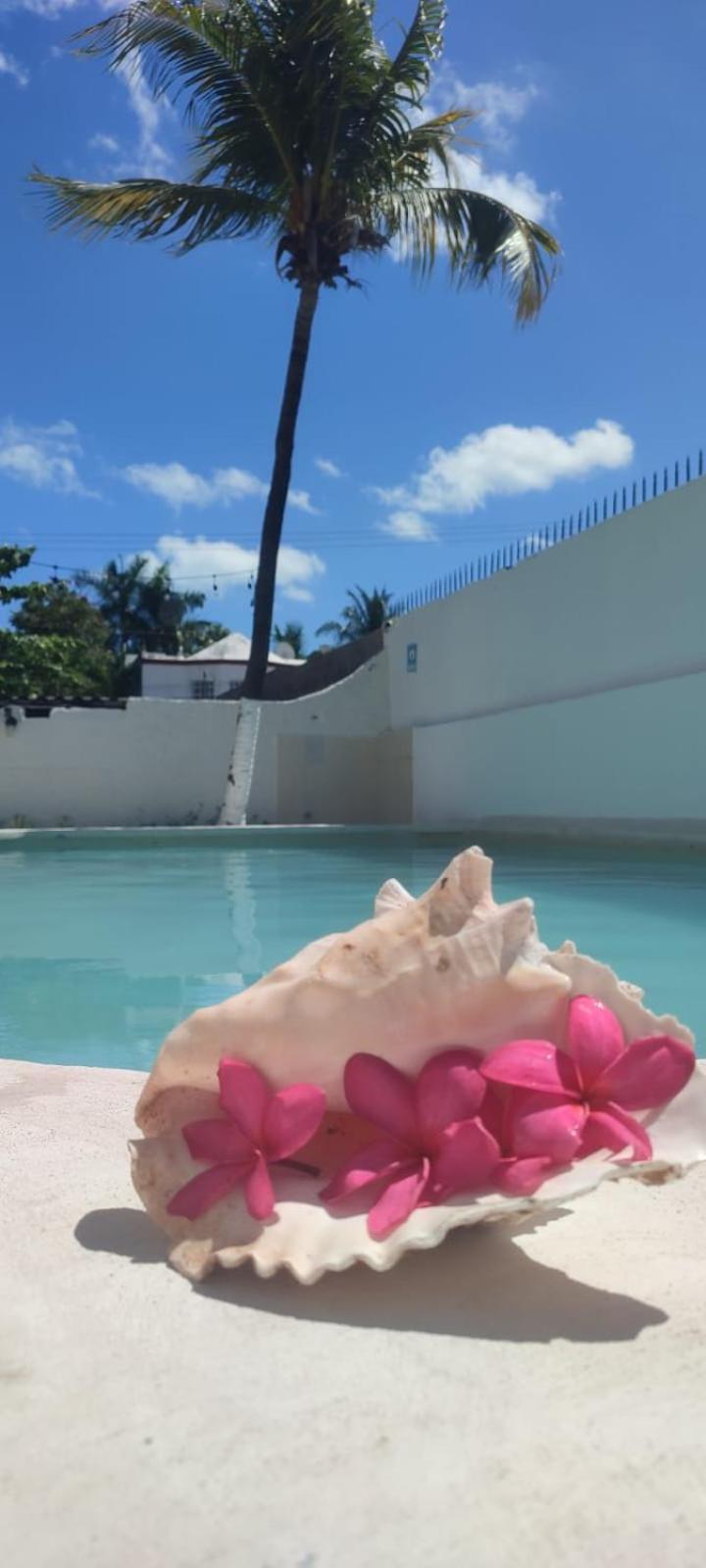 Hotel Coral Cancun Bagian luar foto